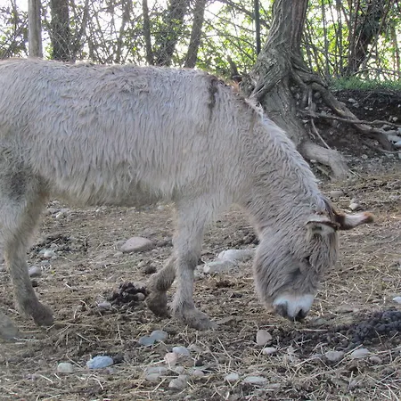Kamp alanı Village Citta Di Milano