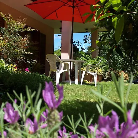 B&B Il Ciliegio Fiorito 2*