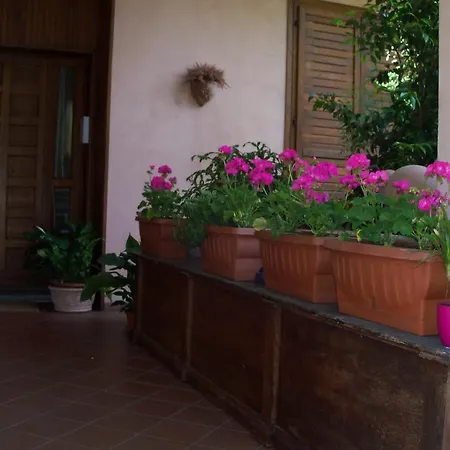 B&B Il Ciliegio Fiorito