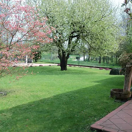 B&B Il Ciliegio Fiorito 2*