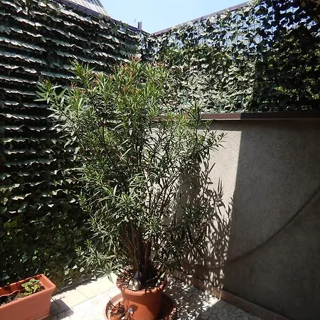 Nocleg ze śniadaniem House 4*