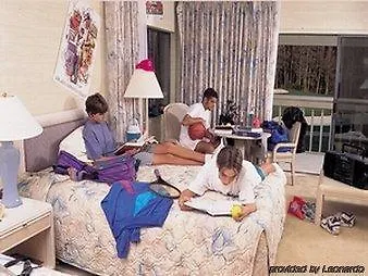 فندق غريكو 2*