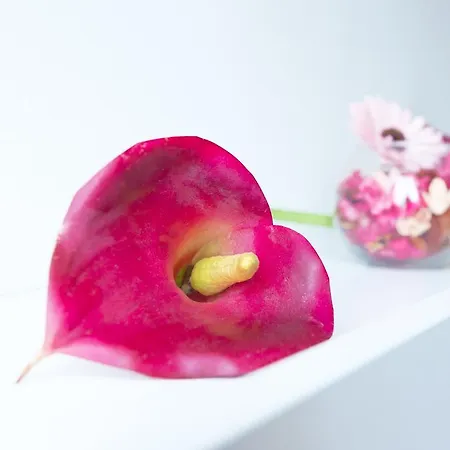 Via Breda 120 * Milano