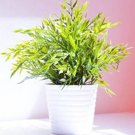 Lägenhet Via Breda 120 *