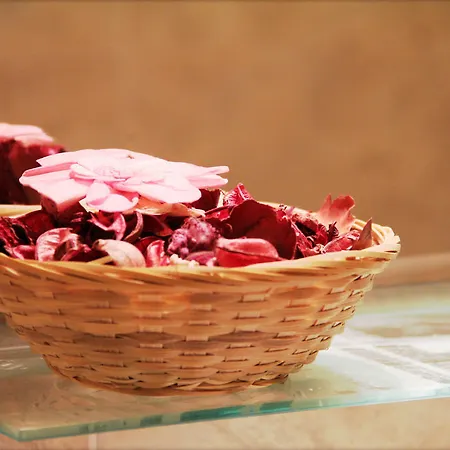 Bed & Breakfast Argentina Milan