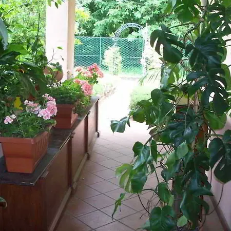 Il Ciliegio Fiorito B&B 2*