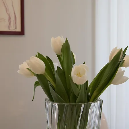 Porta Venezia Centro