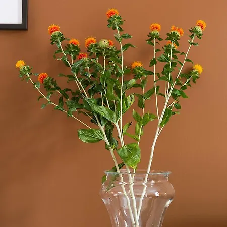 Zebra Naviglio ゲストハウス ミラノ