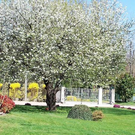 B&B Il Ciliegio Fiorito
