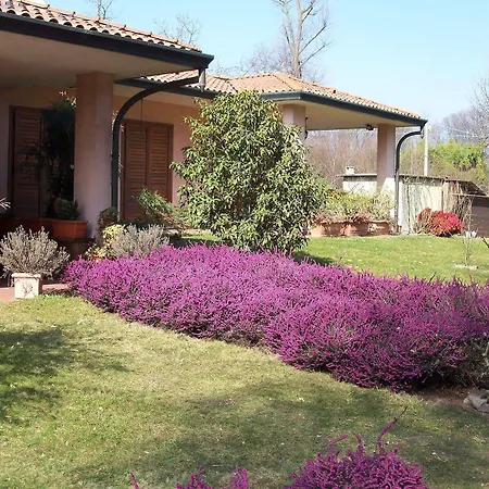 Il Ciliegio Fiorito B&B