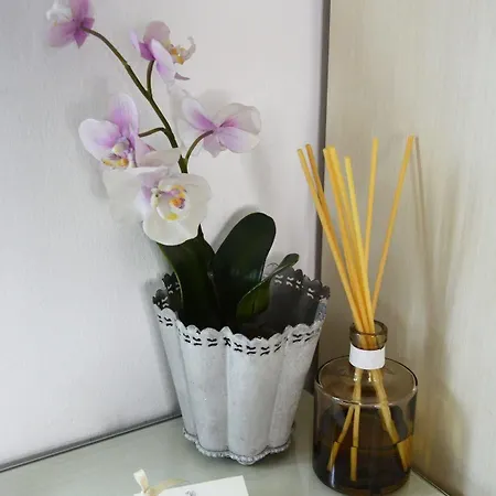 안티카 로칸다 레오나르도 호텔 3*