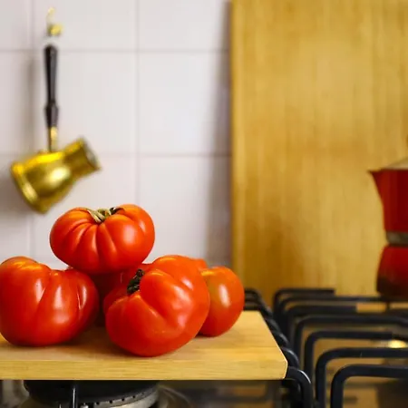 住宿加早餐酒店 名人堂公寓 米兰