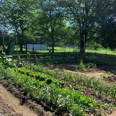 Cascina Bellaria Hostel Milano