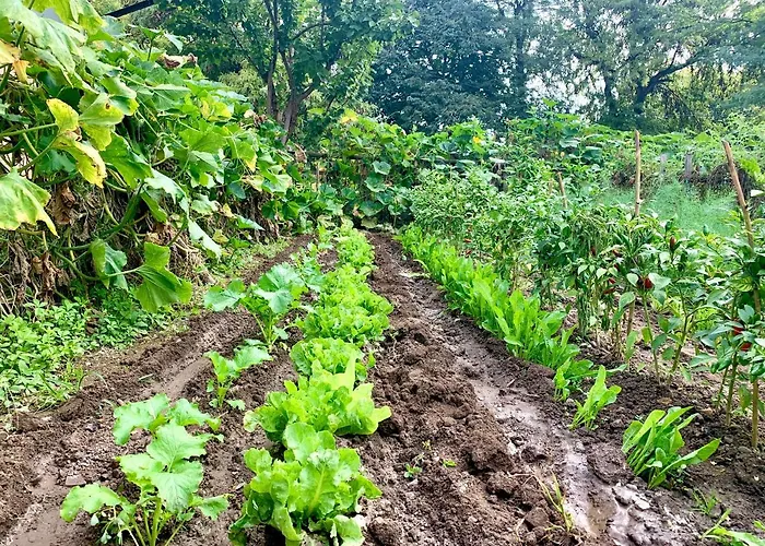 Cascina Bellaria Milán