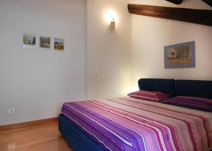 Disciplini By Halldis