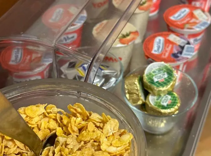 阿斯普罗蒙特酒店 米兰