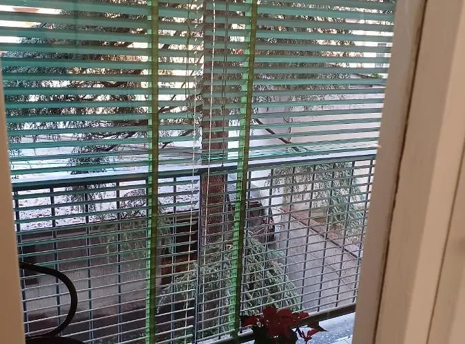 Daire Gigogi House *