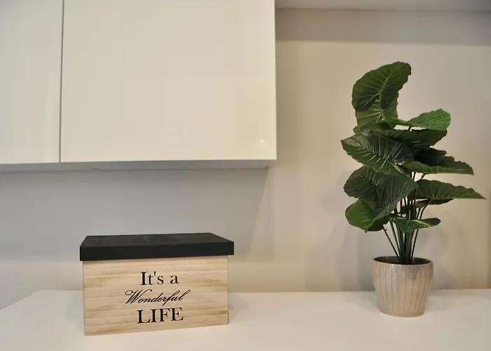 M.aurelio Light Brown