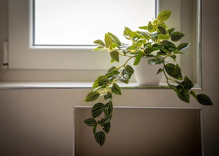 Апартаменты Gaia's Place