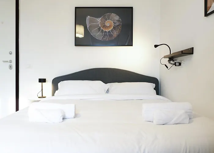 Primopiano - Meda 51