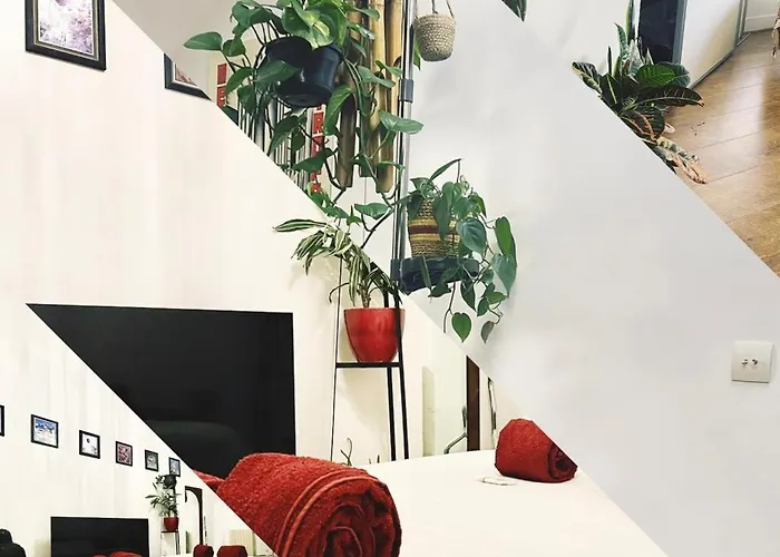 La Stanza Della Giungla Homestay szállás *