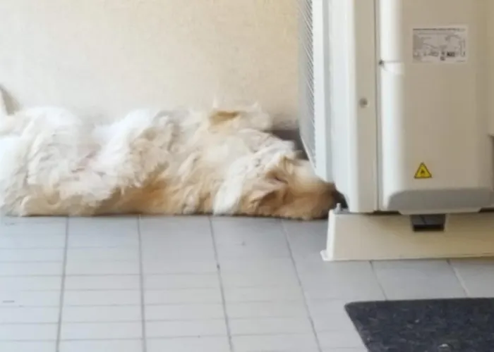 Pensjonat Expo Mediolan