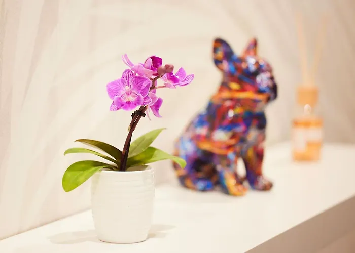 Sant'ambrogio Charme *