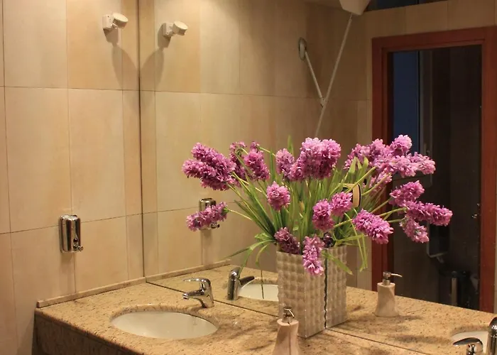 酒店 特米诺酒店 3*