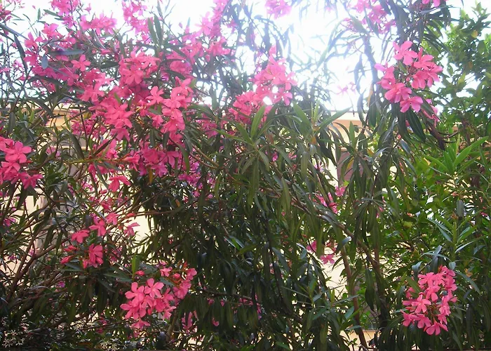 Hotel apartamentowy Giusti 6