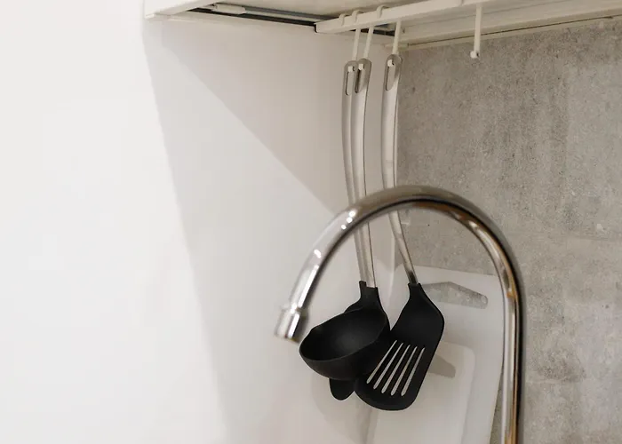 Bramante In Brera 15 *