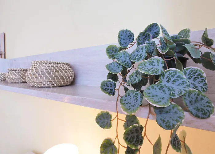 Primopiano - Carpi * Milánó