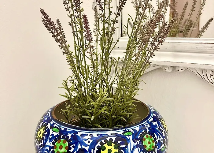 Lovely Centre