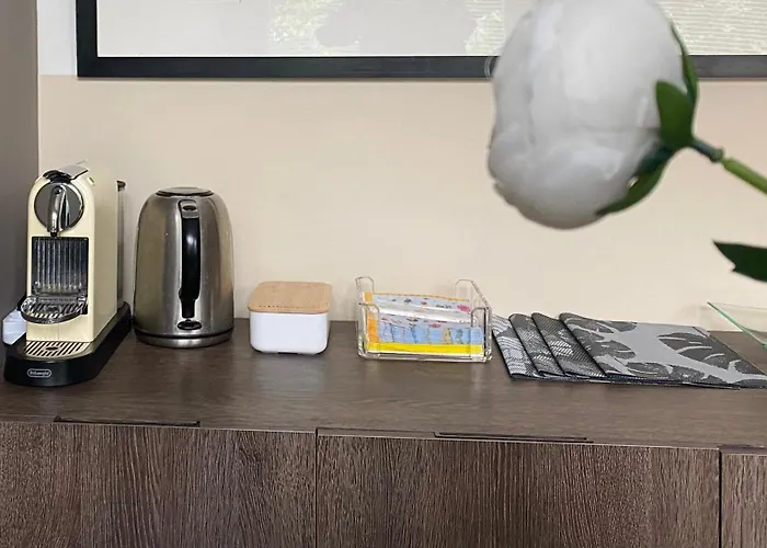 Vitruviosuite * מילאנו