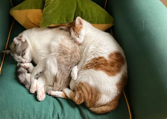 Ubytování v soukromí Niyang