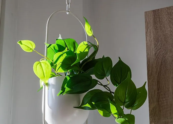 Botticelli 24 Appartement *