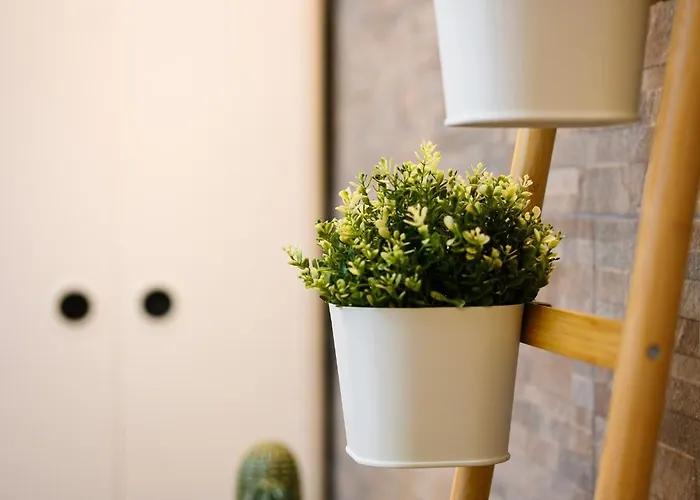 Apartmán Sebino 15 - Monolocale Cool