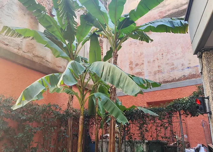 Memo Lägenhet Milano