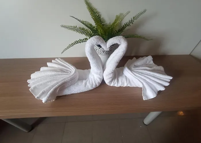 New H Marte 81 Hotel