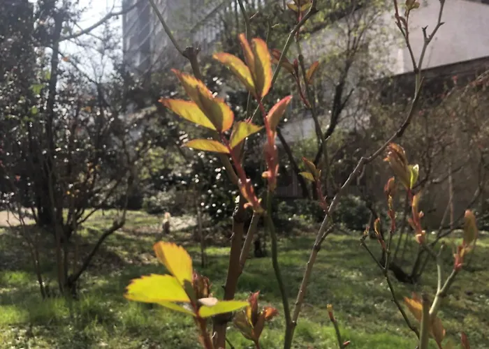 Apartamento Missori Rose Garden View