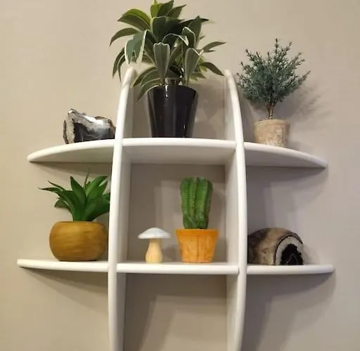 Appartement Smart Sarpi Monolocale *