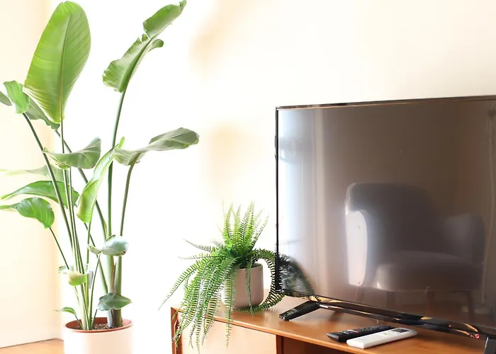 Bamboo Inama * Milano