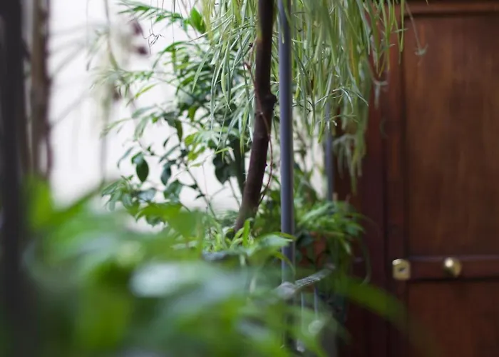 Cozy Apartment- Navigli