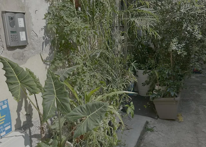 Next To Bocconi Lejlighed *