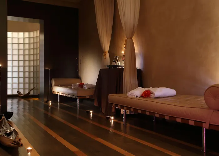 酒店 The Westin Palace, 5*
