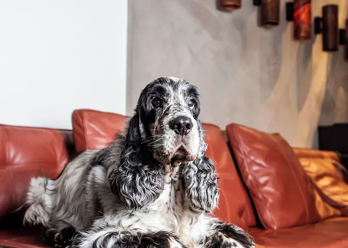 ミラン スイート 4*