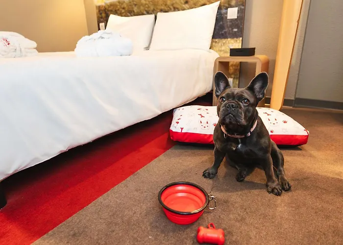 Ibis Centro Отель 3*