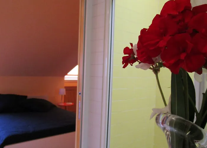 住宿加早餐酒店 特奥多拉住宿加早餐旅馆