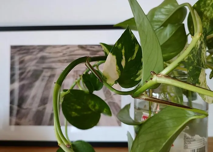 Appartamento Veronica's