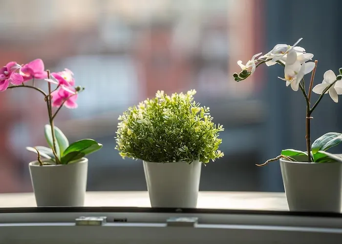 Attic Design - Duomo 15 Min - Free Wifi Apartment