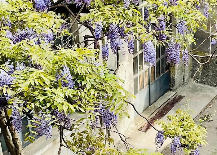 Inner Garden * Milan